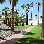 Palm Friendly *
