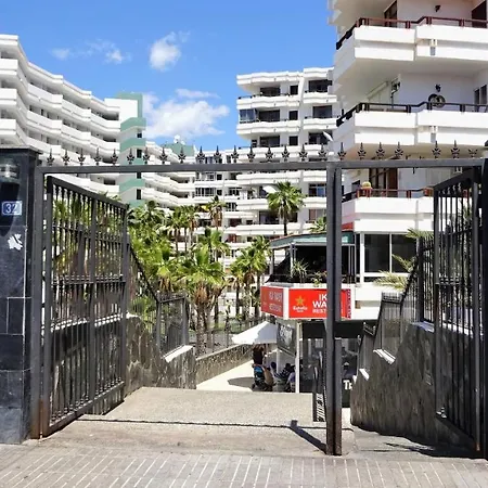 Palm Friendly פלאייה דל אינגלז