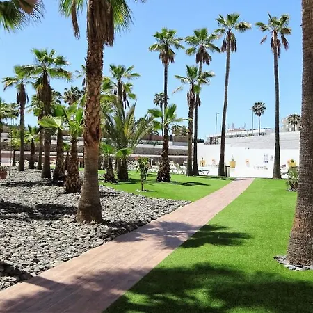Palm Friendly *
